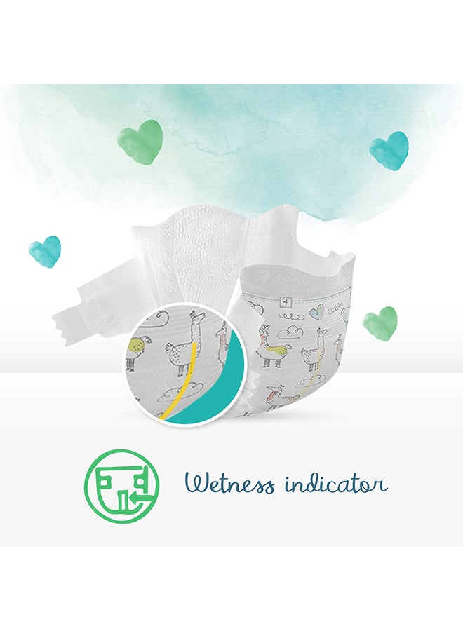 Pure Protection Diapers, Size 3, 6 - 10 Kg, 31 Count - Dermatologically Tested