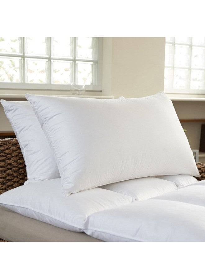 2-Piece Solid Bed Sleeping Cotton Pillow Cotton White Standard