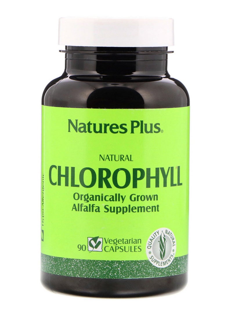 Natural Chlorophyll - 90 Vegetarian Capsules