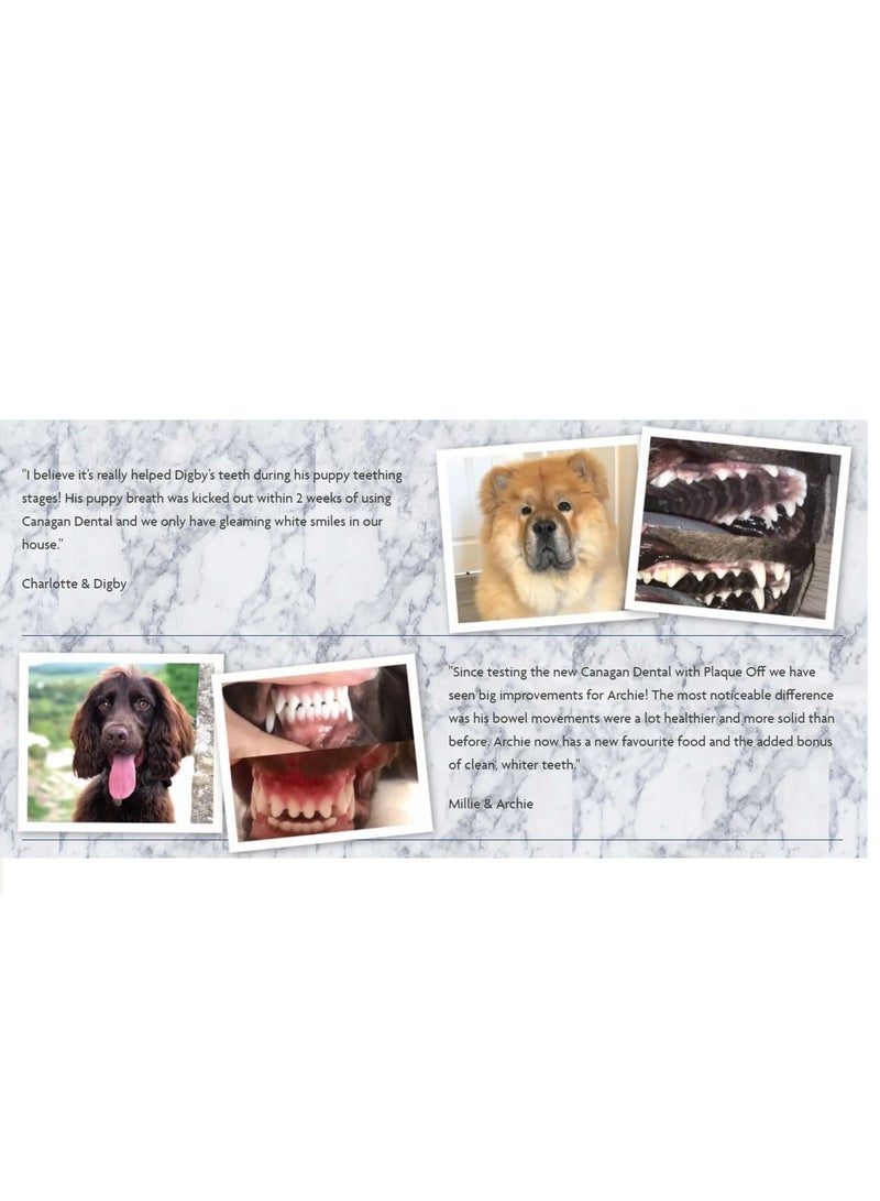Canagan Free Run Turkey Dental Small Breed Dogs Dry Food 2Kg