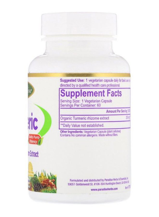 Turmeric Active Whole Spectrum Extract - 60 Capsules