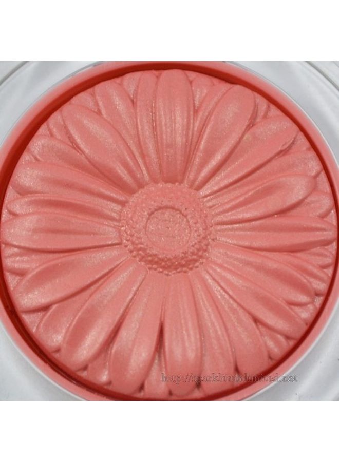 Cheek Blusher 01 Ginger Pop