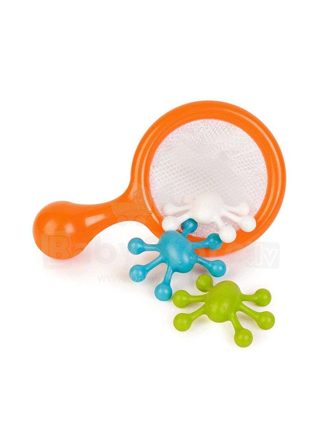 Water Bugs - Assorted
