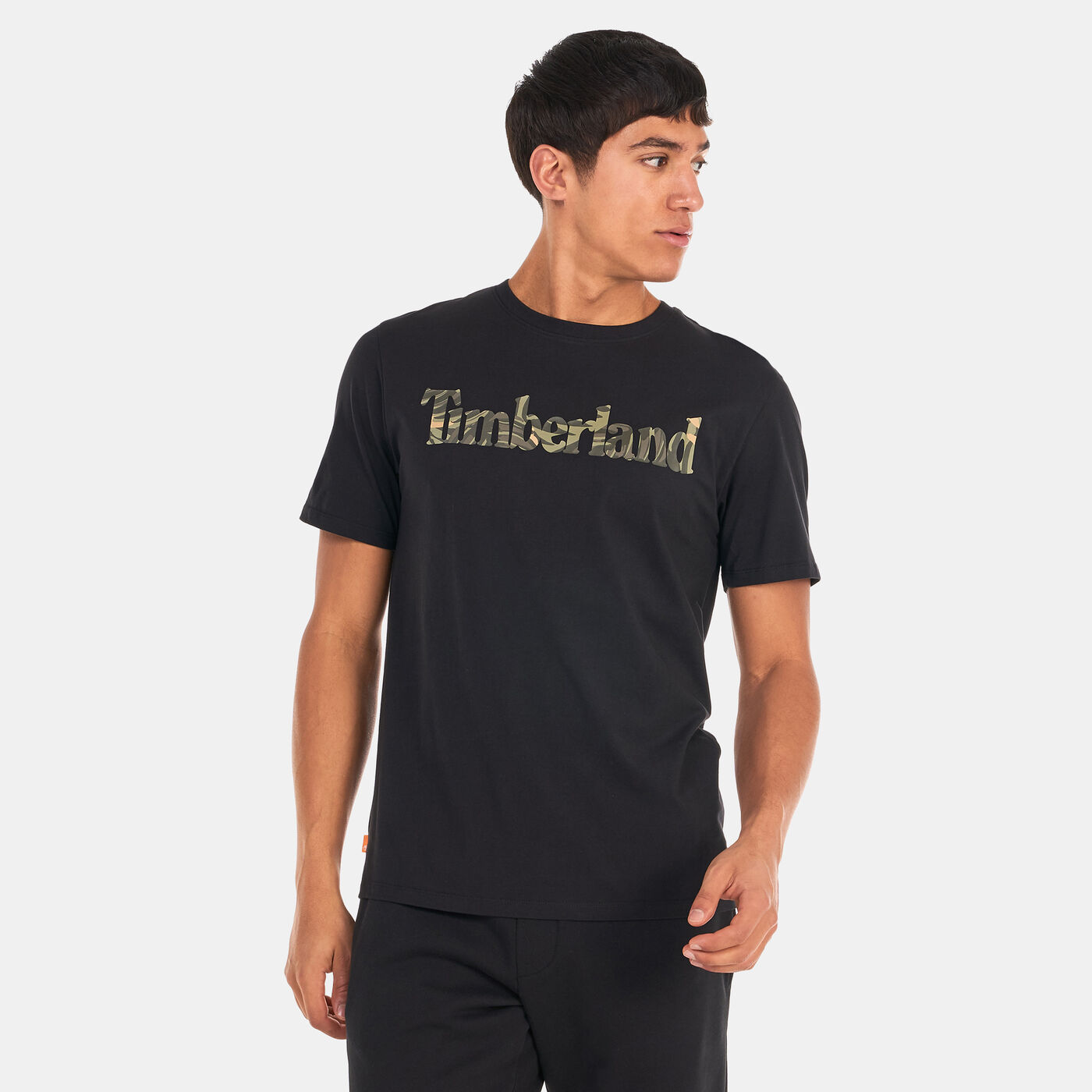 Men's Linear Logo Seasonal Camo T-Shirt