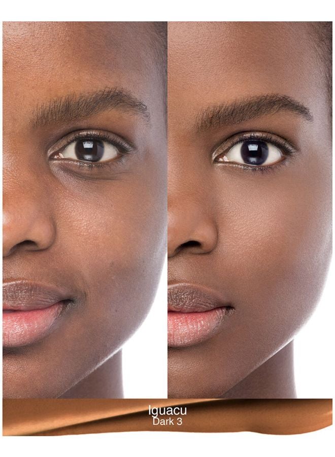 Natural Radiant Longwear Foundation Iguacu