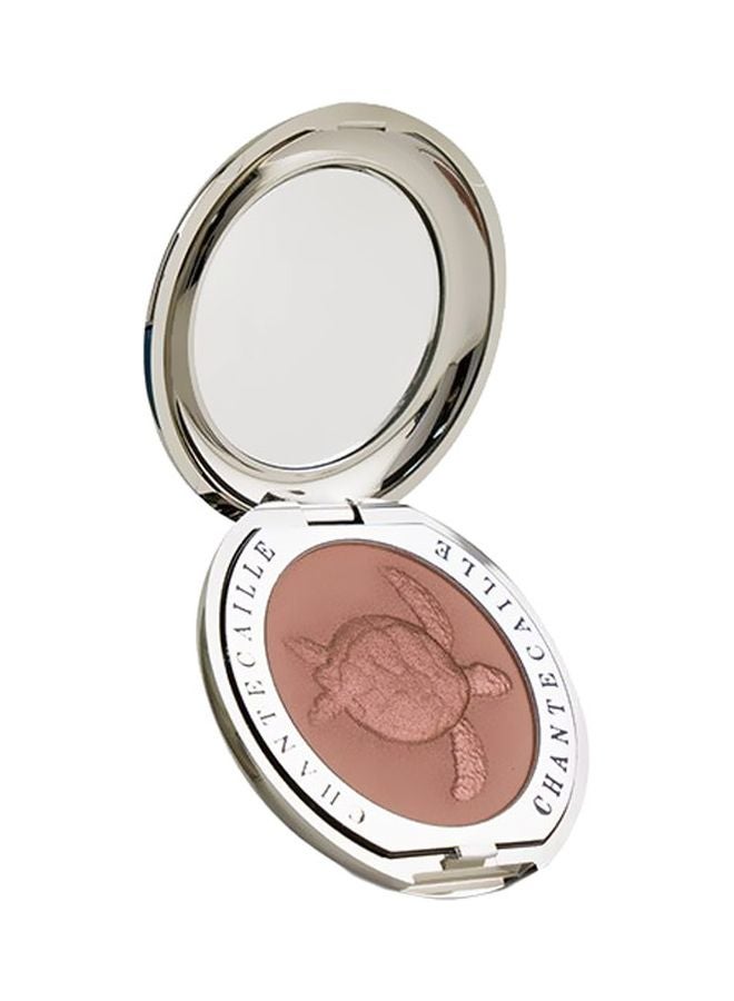 Cheek Shade Makeup Blush Grace (Sea Turtle)