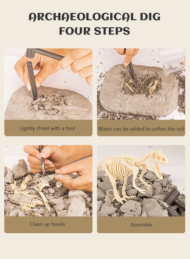 Archaeology Dinosaur Toy Kit with Plaster Hammer Chisel Cleaning Brush Magnifying Glass Dust Goggles Dig Out Dinosaur Skeleton Gifts for Kids