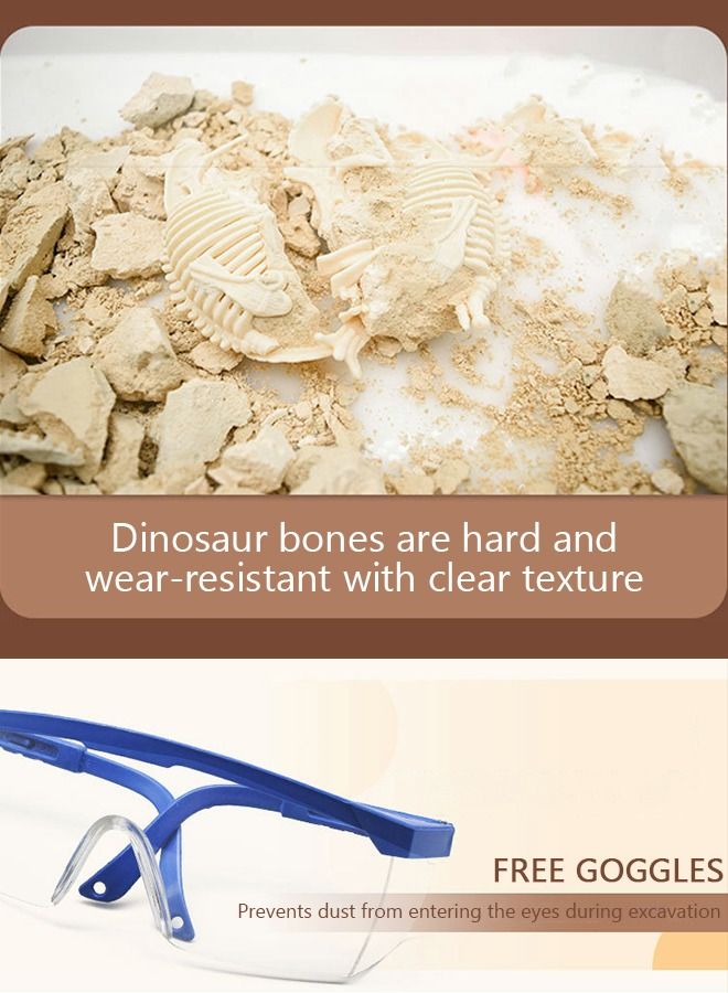 Archaeology Dinosaur Toy Kit with Plaster Hammer Chisel Cleaning Brush Magnifying Glass Dust Goggles Dig Out Dinosaur Skeleton Gifts for Kids