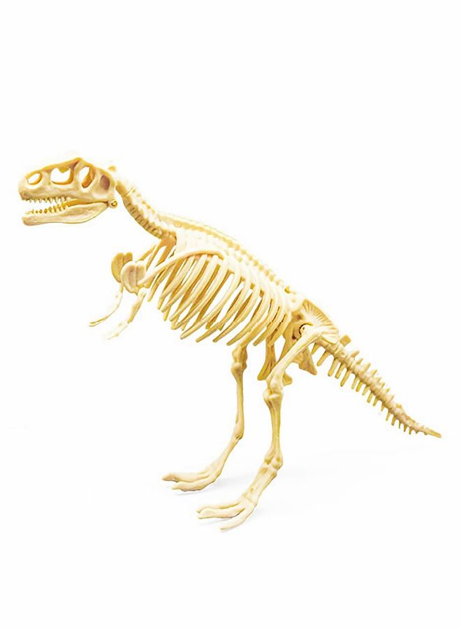 Archaeology Dinosaur Toy Kit with Plaster Hammer Chisel Cleaning Brush Magnifying Glass Dust Goggles Dig Out Dinosaur Skeleton Gifts for Kids