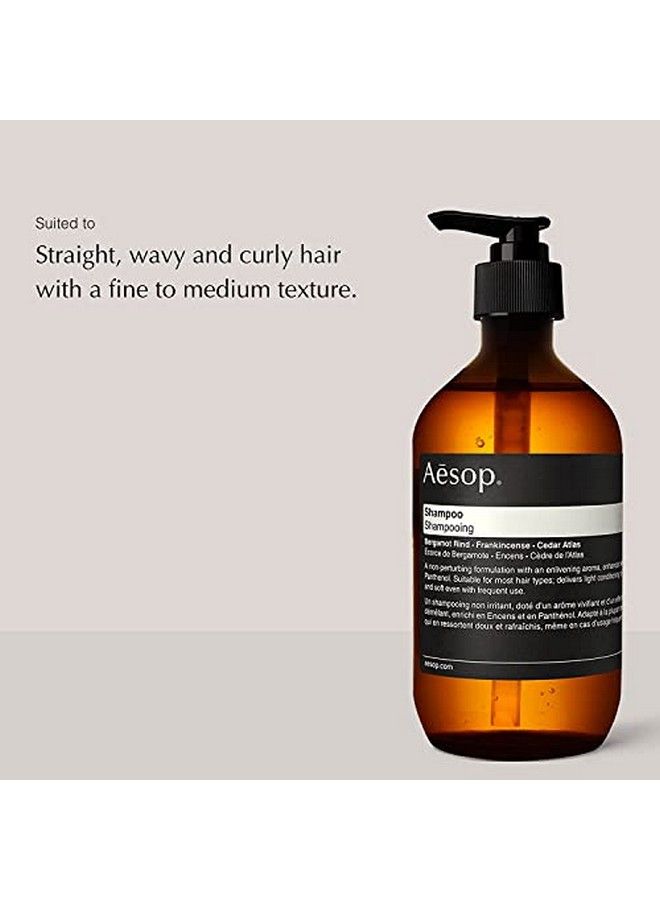 Shampoo | 500Ml/16.9 Oz Shampoo & Dry Scalp Treatment