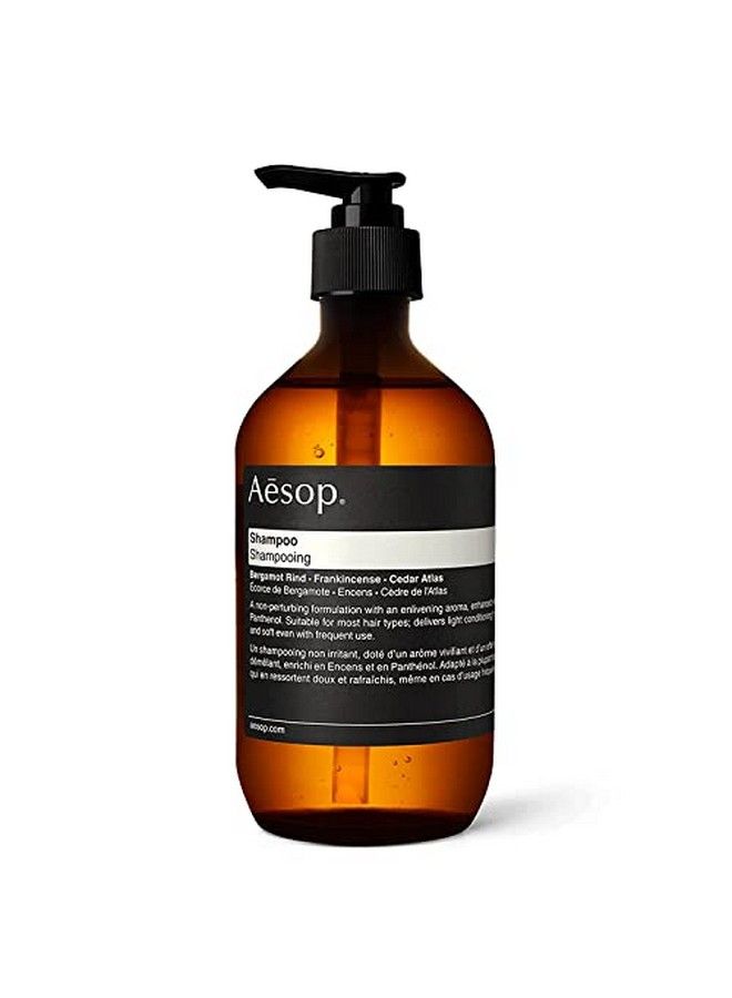 Shampoo | 500Ml/16.9 Oz Shampoo & Dry Scalp Treatment