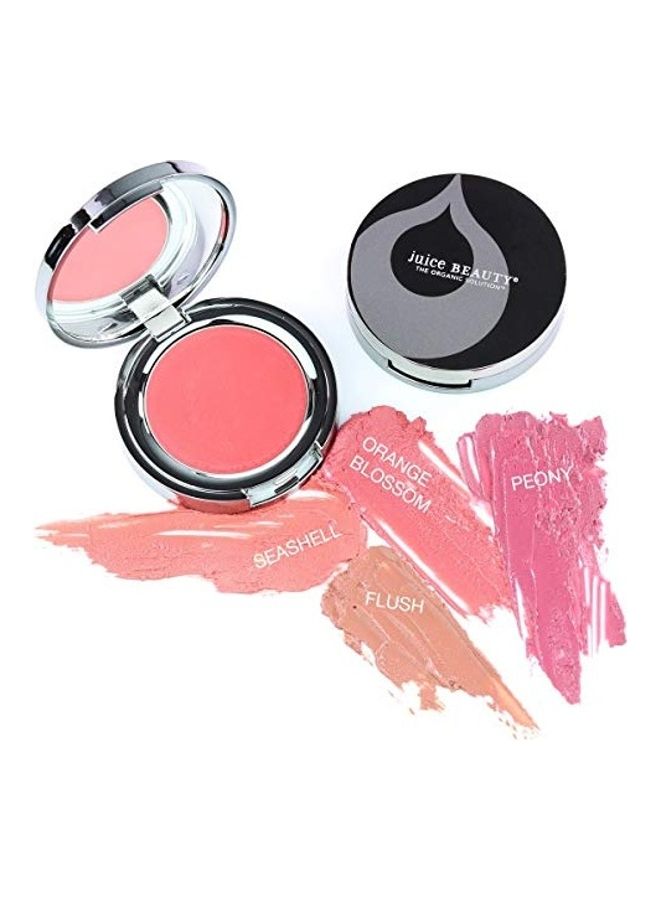 Cream Blush Seashell