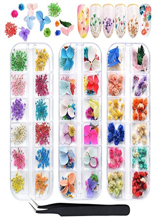 132Pcs 3D Dried Flowers Nail Art Decals 3 Boxes Colorful Dried Gypsophila Daisy Hydrangea Flowers Nail Art Stickers With 1 Tip Tweezers  Nail Art Little Pressed Real Natural Flower Nail Art Design Decoration Supplies