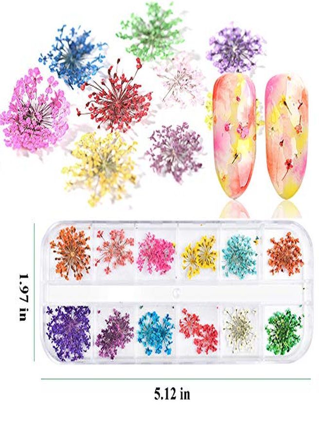 132Pcs 3D Dried Flowers Nail Art Decals 3 Boxes Colorful Dried Gypsophila Daisy Hydrangea Flowers Nail Art Stickers With 1 Tip Tweezers  Nail Art Little Pressed Real Natural Flower Nail Art Design Decoration Supplies