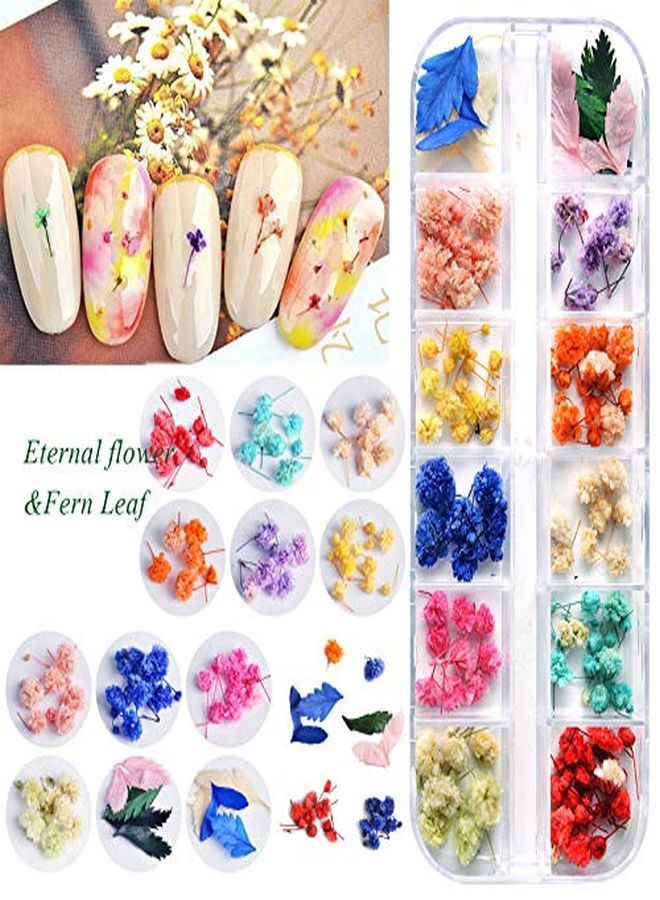 132Pcs 3D Dried Flowers Nail Art Decals 3 Boxes Colorful Dried Gypsophila Daisy Hydrangea Flowers Nail Art Stickers With 1 Tip Tweezers  Nail Art Little Pressed Real Natural Flower Nail Art Design Decoration Supplies