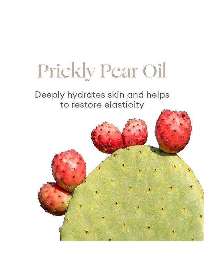 Organic BB Cream : Vegan NonToxic Beauty (Cocoa)