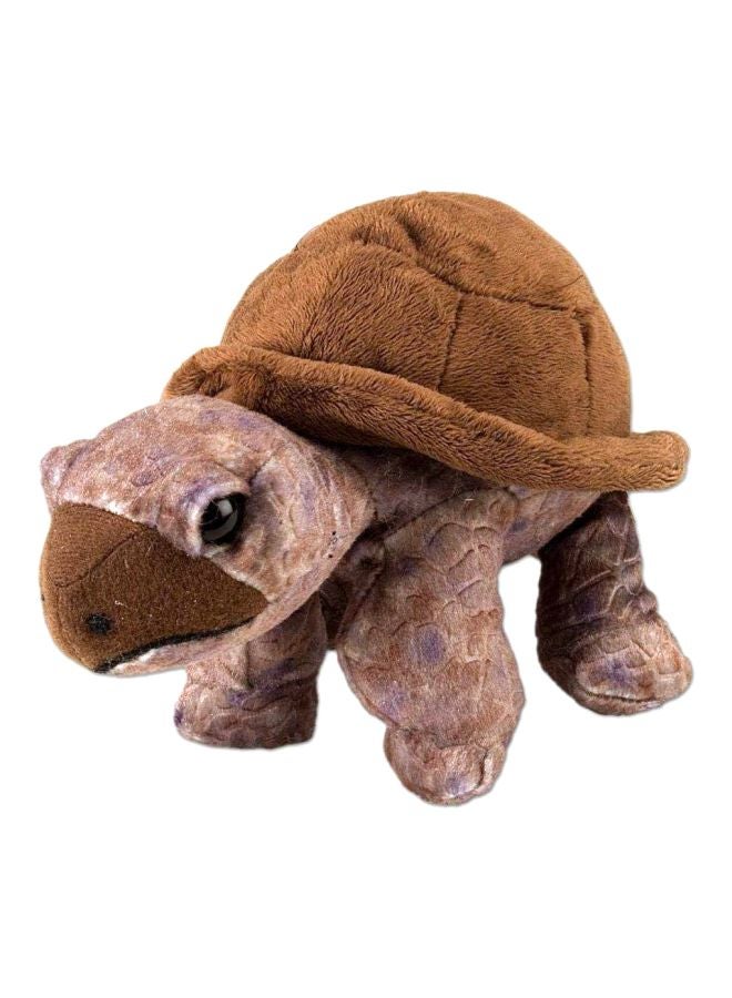 Tortoise Plush Toy 10894 8inch