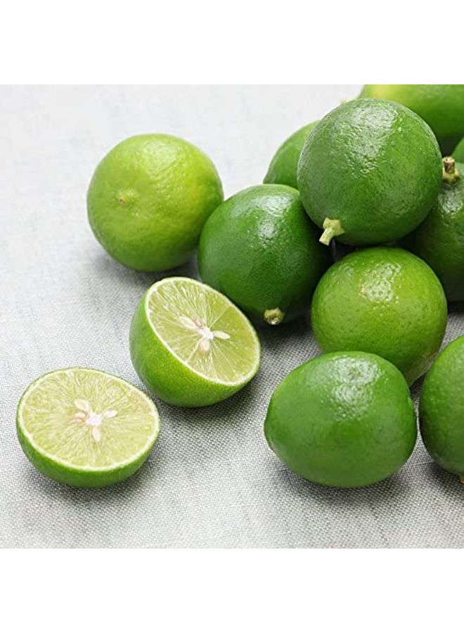 Herbal Aftershave, Key Lime, 4 Fl. Oz.