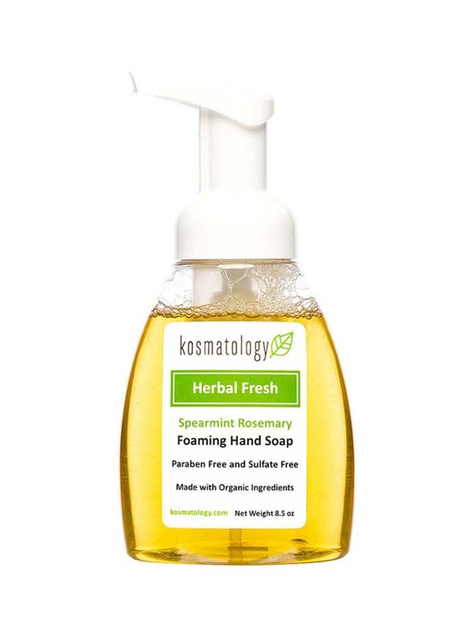 Herbal Fresh Foaming Hand Soap