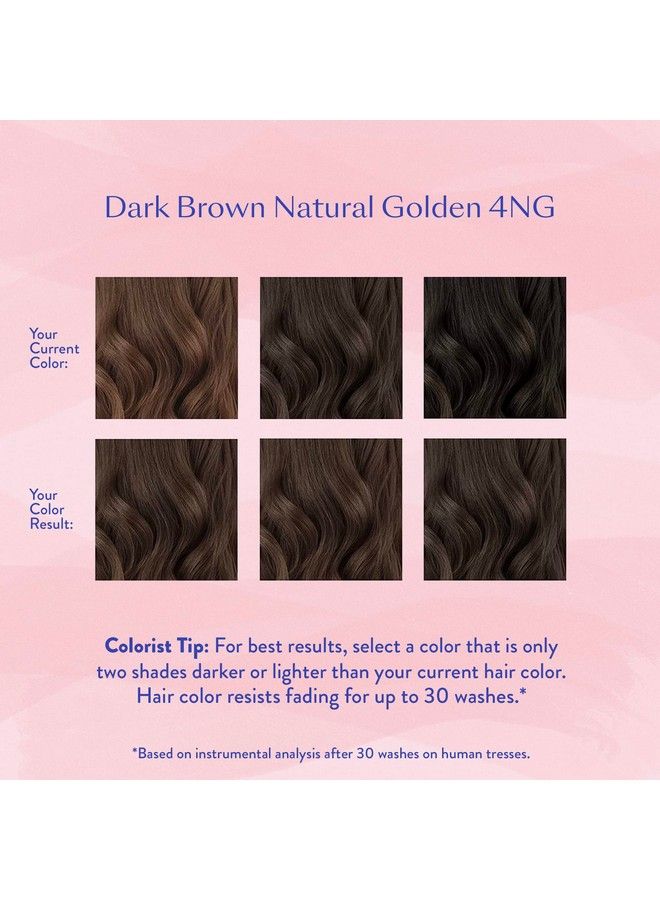 Permanent Hair Color & Hair Dye Complete Kit Dark Brown Natural Golden Personal Colorist Kit For Up To 100% Gray Coverage For All Hair Types Professionalgrade Ammoniafree Hair Dye