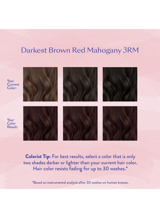 Permanent Hair Color & Hair Dye Complete Kit Darkest Brown Red Mahogany Personal Colorist Kit For Up To 100% Gray Coverage For All Hair Types Professionalgrade Ammoniafree Hair Dye