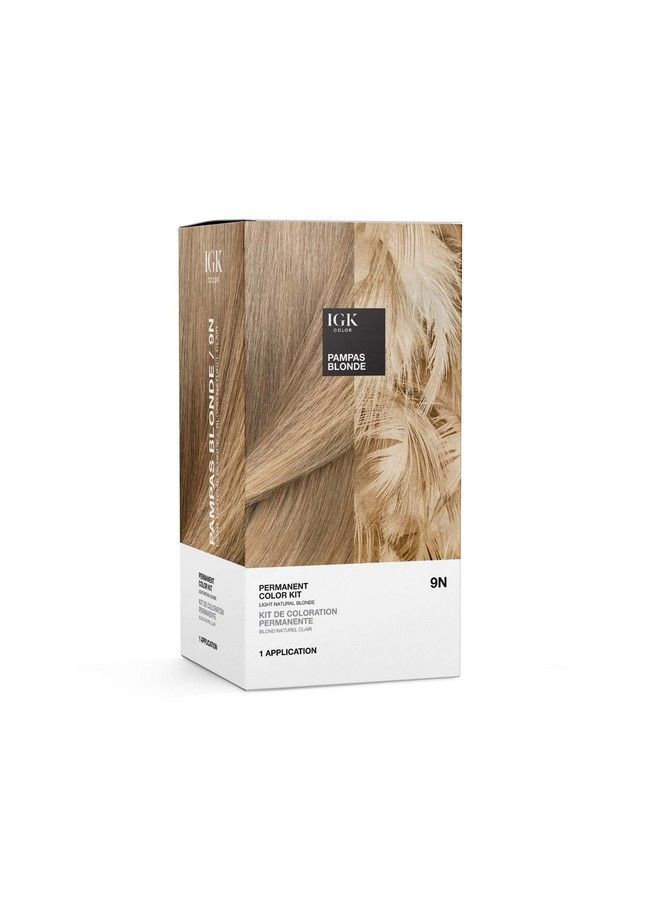 Permanent Color Kit Pampas Blonde Light Natural Blonde 9N | Easy Application + Strengthen + Shine | Vegan + Cruelty Free + Ammonia Free | 4.75 Oz