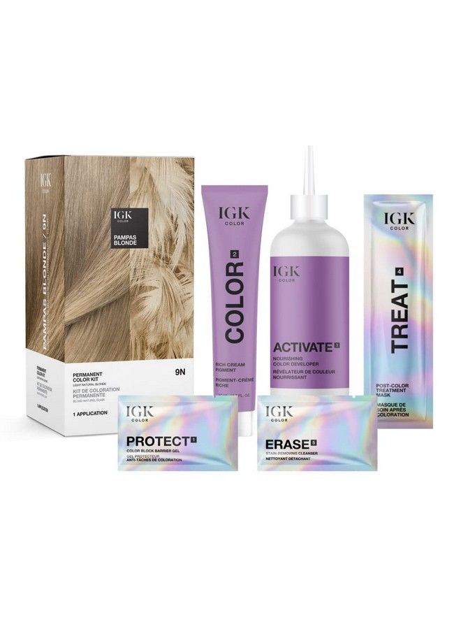 Permanent Color Kit Pampas Blonde Light Natural Blonde 9N | Easy Application + Strengthen + Shine | Vegan + Cruelty Free + Ammonia Free | 4.75 Oz