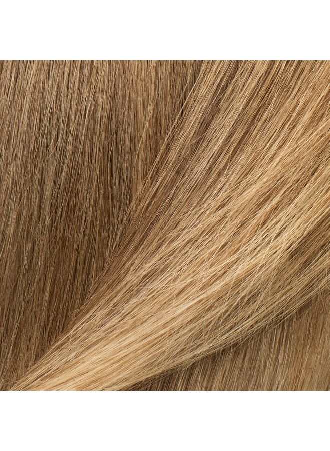 Permanent Color Kit Pampas Blonde Light Natural Blonde 9N | Easy Application + Strengthen + Shine | Vegan + Cruelty Free + Ammonia Free | 4.75 Oz