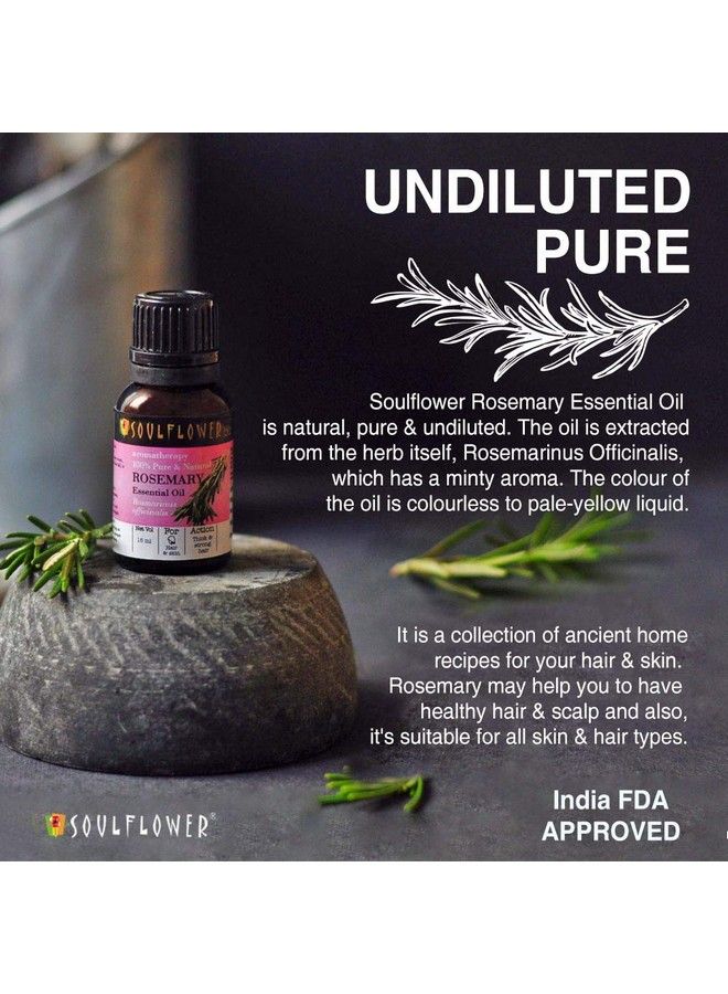 Rosemary Essential Oil 15Ml & Coldpressed Castor Oil 225Ml 100% Pure Natural And Coldpressed For Hair Skin And Face Ecocert Cosmos Organic Certified Pack Of 2