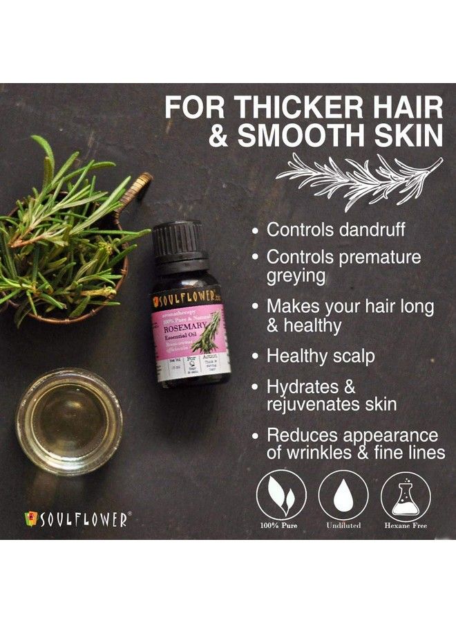 Rosemary Essential Oil 15Ml & Coldpressed Castor Oil 225Ml 100% Pure Natural And Coldpressed For Hair Skin And Face Ecocert Cosmos Organic Certified Pack Of 2