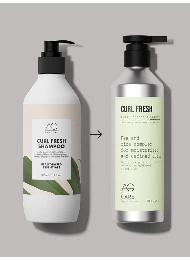 Curl Fresh Shampoo 12 Fl Oz