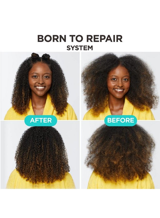 Born To Repair Sulfatefree Nourishing Conditioner Vegan Hair Care With Shea Butter For Curly Hair 11 Fl Oz