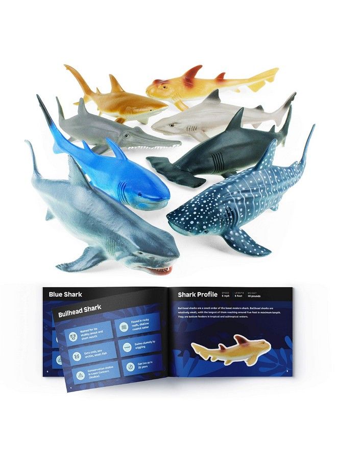 Shark Toys 8 Pack 10