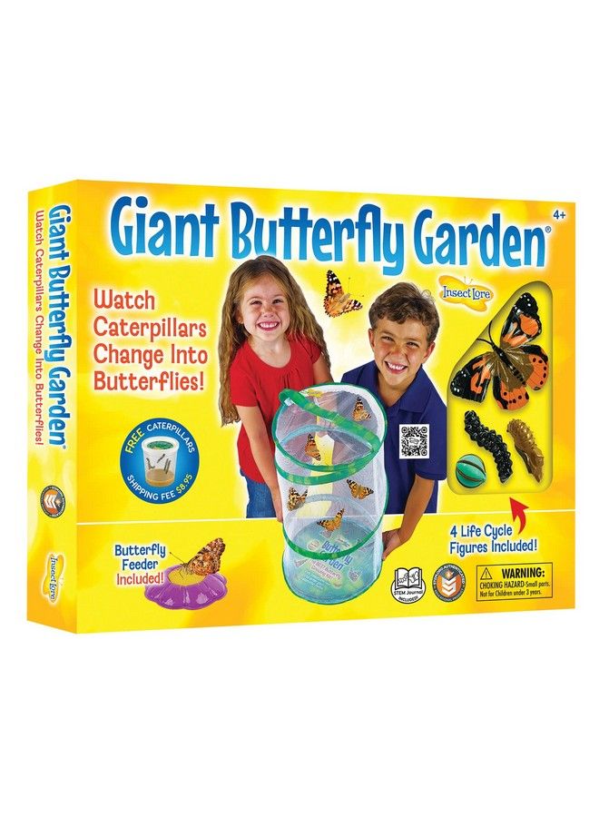 Giant Butterfly Garden With Habitat Voucher Green/White
