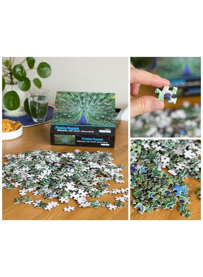 Peacock Plume Wild Zoo Animal 1000 Piece Jigsaw Puzzle For Adults And Kids ; Interactive Brain Teaser Board Educational Toys & Games For Home Quarantine Gift Ideas ; 28 X 20 Inches