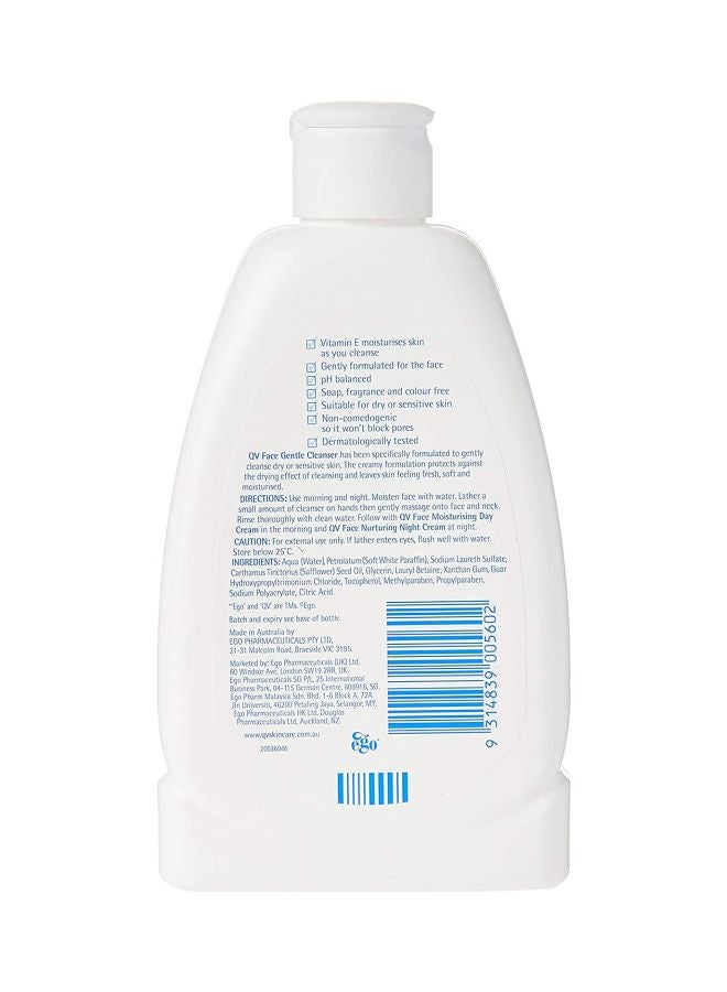 Face Gentle Cleanser