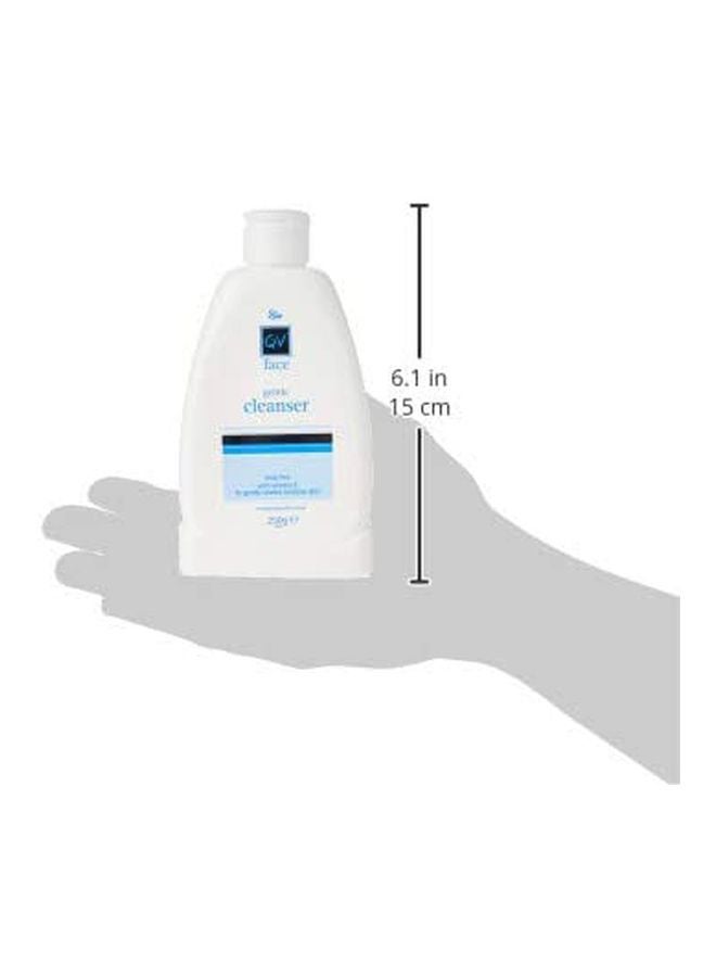 Face Gentle Cleanser