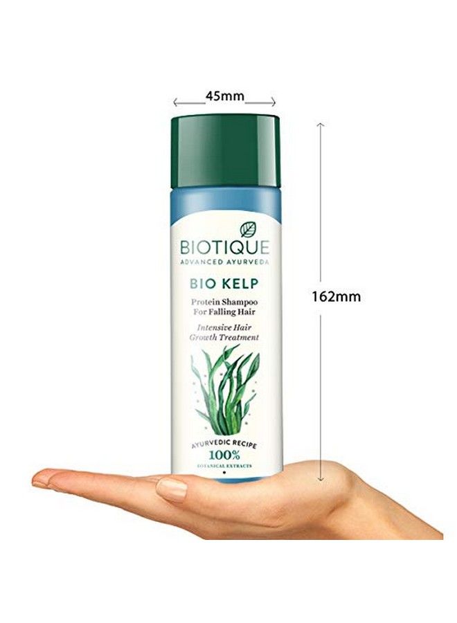 Ocean Kelp Shampoo For Anti Hair Fall Intensive Hair Regrowth Treatment, 190Ml