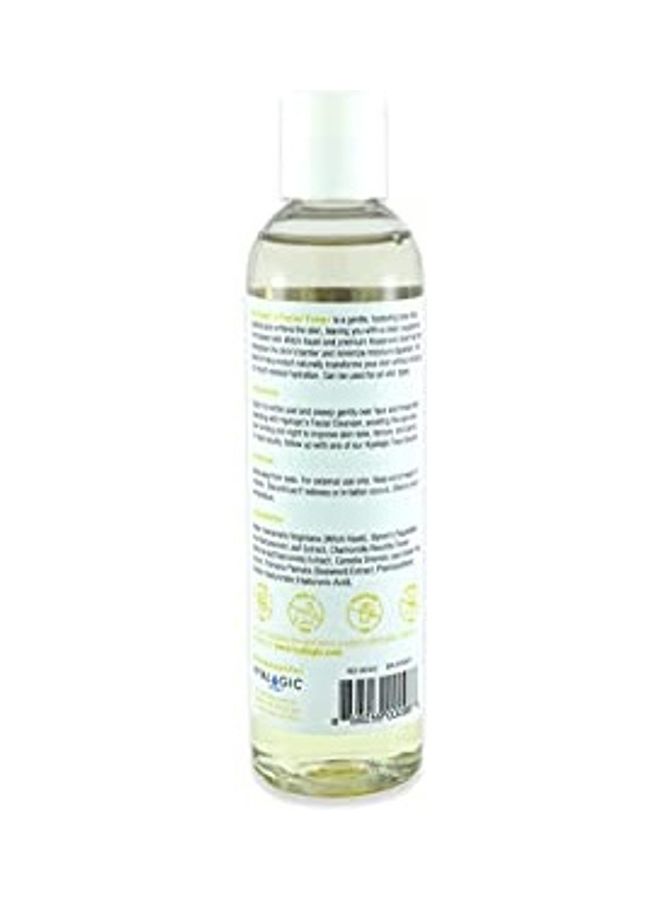 Spa Facial Toner With Witch Hazel Multicolour