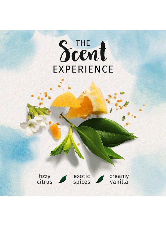 Shampoo And Conditioner Set Repairing Argan Oil Of Morocco With Natural Source Ingredients Color Safe Biorenew 20.2 Fl Oz 2 Count