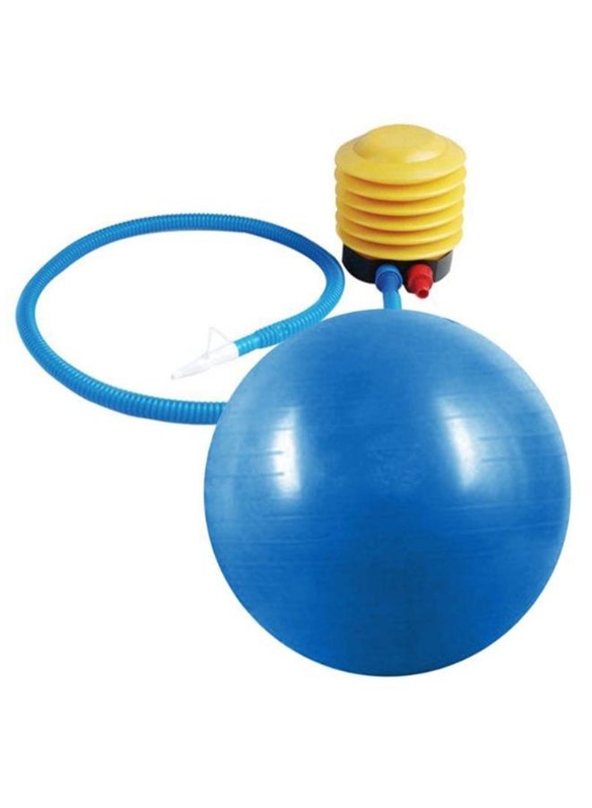Stability Pilates Swiss Ball With Air Pump 65cm
