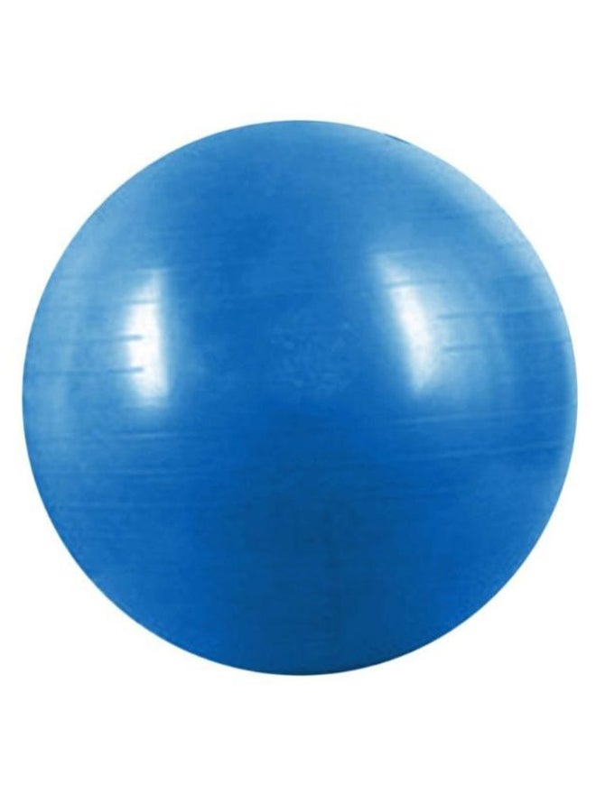 Stability Pilates Swiss Ball With Air Pump 65cm