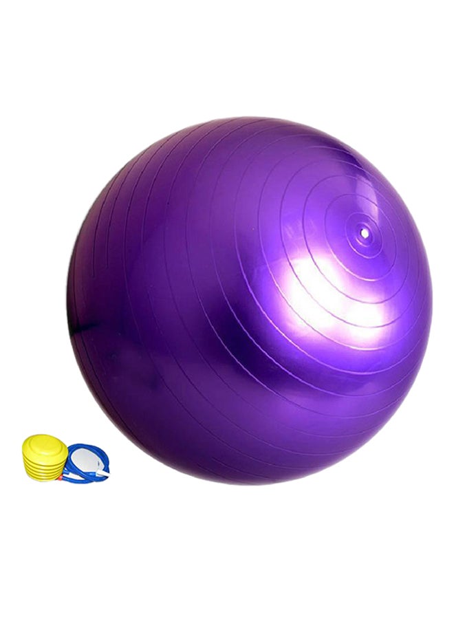 Sport Fitness Swiss Ball 65cm