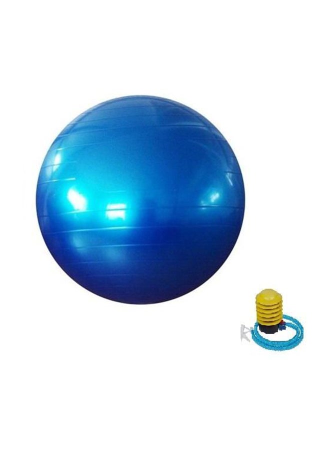 Yoga Gym  Swiss Ball 65Cm 65cm