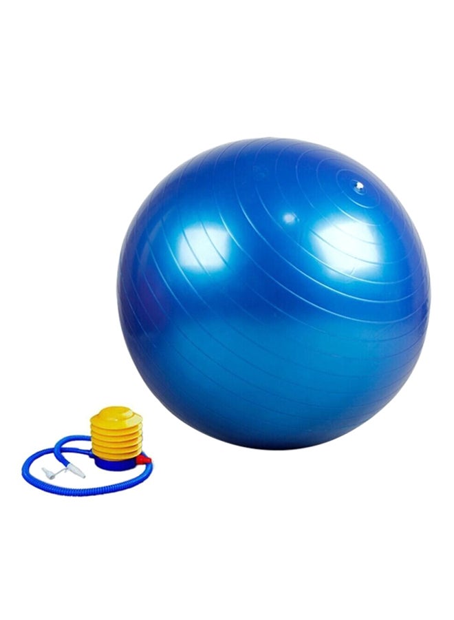 Swiss Fitness Ball - 65 cm 65cm