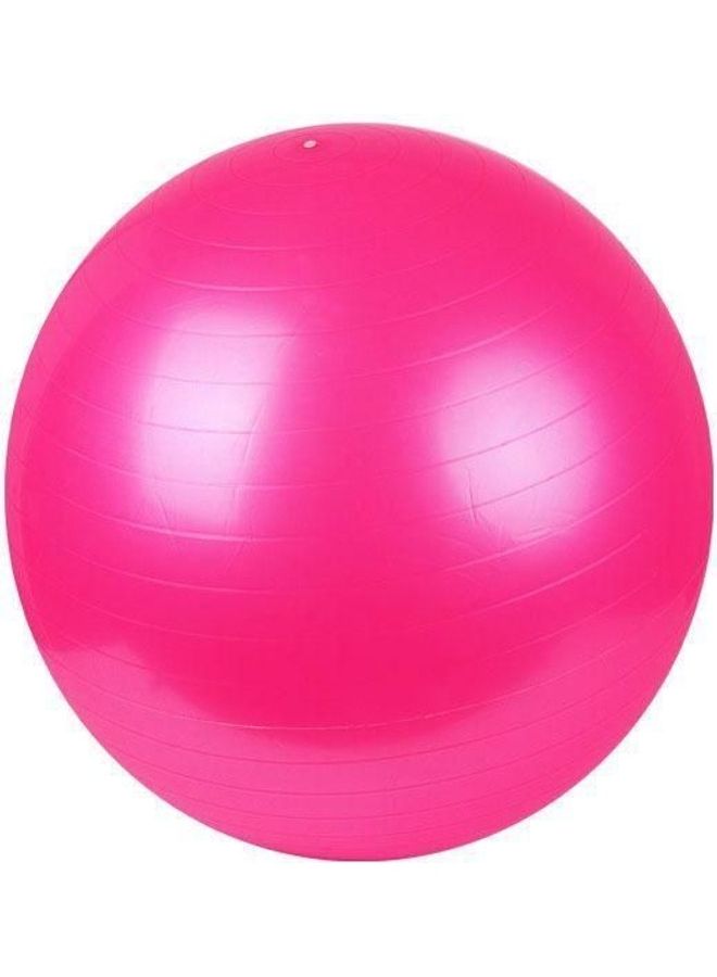 Swiss  Anti Burst  Yoga Aerobic Body Fitness Ball For Eercise Gym 65cm