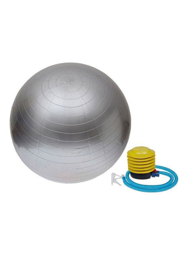 Fitness Exercise Gym Balance Ball Yoga Aerobic Maternity Pump  Anti-Burst 65cm