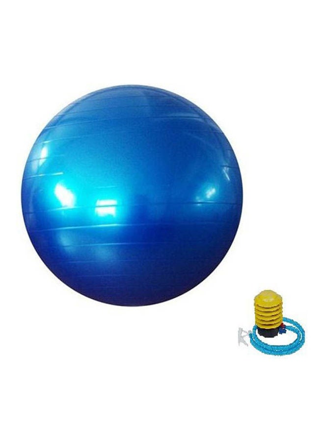 Fitness Eercise Swiss Gym Fit Yoga Core Ball  Abdominal Back Leg Workout 65cm