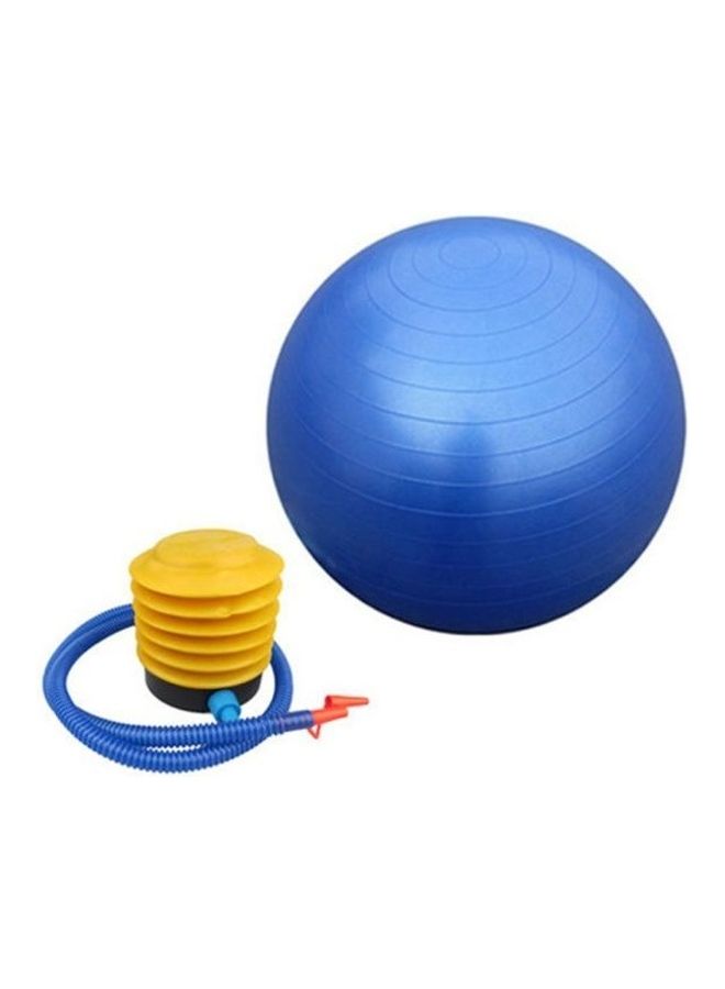 Fitness Eercise Swiss Gym Fit Yoga Core Ball  Abdominal Back Leg Workout 65cm