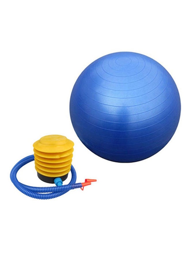 Anti Burst Yoga Aerobic Swiss Ball 65cm